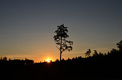 фото "Рассвет 2"