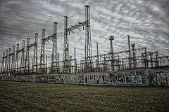 photo "железный лес"