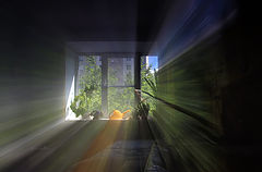 фото "Окно в лето"