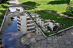 фото "***"
