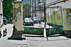 фото "***"