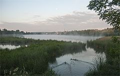 photo "***"