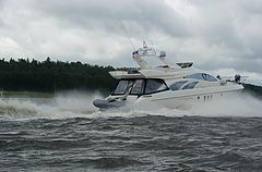photo "торопится куда-то!"