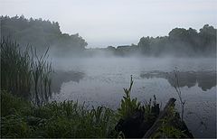 photo "***"