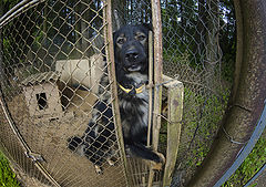 фото "«Любовь и воля»"