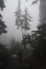 photo "The Hiker"