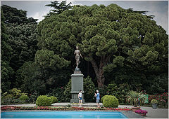 photo "***"