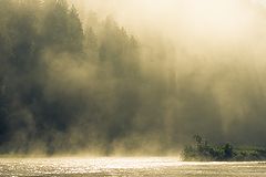 photo "***"