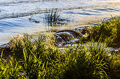 photo "***"