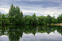 фото "Казаринка( Ельня Смоленская область)"