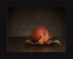photo "***"