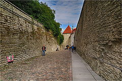фото "Таллинн"