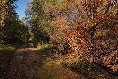 фото "Осенняя дорога"