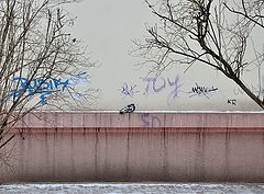 фото "***"