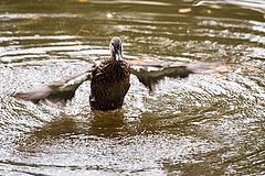 фото "take off"