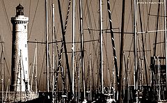 фото "in the port"