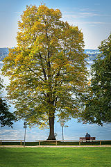 photo "***"