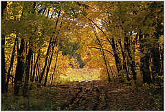 photo "October."