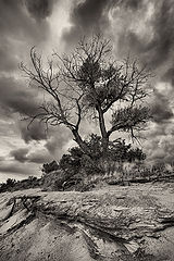 photo "***"