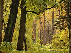 photo "***"