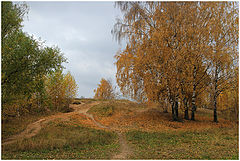 photo "Autumn motive"
