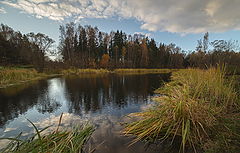 фото "Жёлтая река"