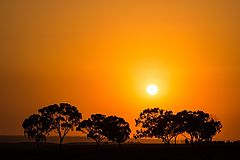 фото "Sunset near Beer-Sheva"