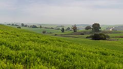 фото "Ruhama, Israel"