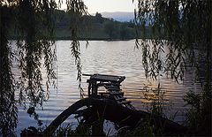 photo "***"