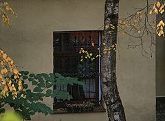 photo "***"