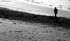 photo "alone on the beach"