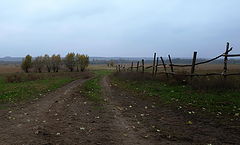 photo "***"