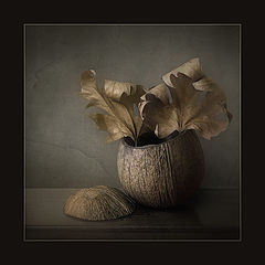 photo "***"