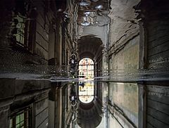 фото "***"