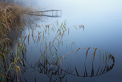 photo "***"