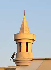 фото "Геометрия и эквилибристика"