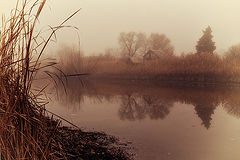 photo "***"