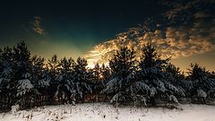 photo "***"