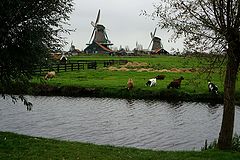 photo "***"