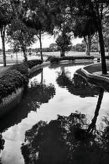 photo "***"
