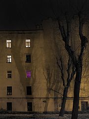 photo "***"