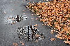 photo "***"