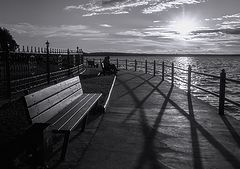 photo "***"