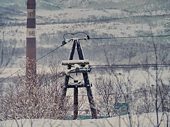 photo "***"