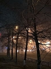 фото "In the fog_1"