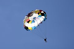 photo "Soaring"