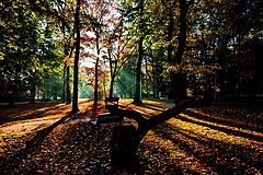 photo "Осень"