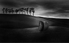photo "*  *  *"