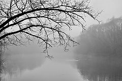 photo "***"