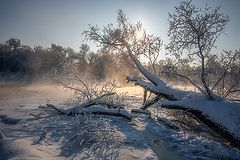 фотоальбом "2018"